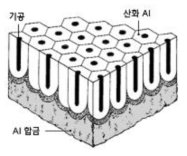 아노다이징 피막 구조