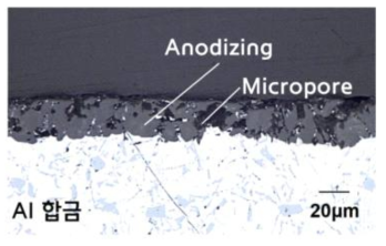 다공성 아노다이징 단면조직