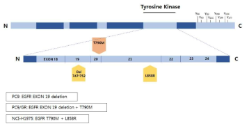 EGFR activating mutant 3종 (PC9, PC9/GR, NCI-1975)의 돌연변이