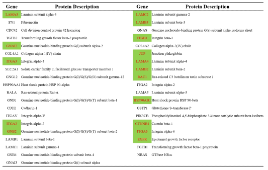 PC9 vs A549 exosome에서 Pathway in Cancer에 관련된 단백질