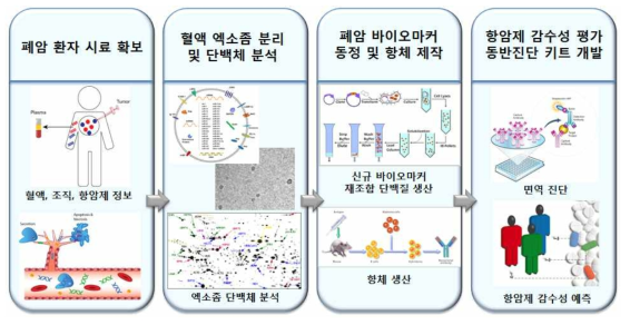 기술 개발 단계 개념도