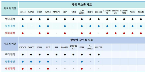 폐암 진단 표지자 후보와 항암제 감수성 표지자 후보의 항원 생산 및 항체 제작