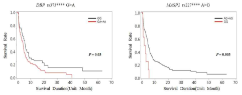 SNP rs373****G>A와 rs227****A>G에 따른 생존 그래프