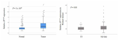 폐 정상조직과 암조직에서의 H*** 유전자 발현
