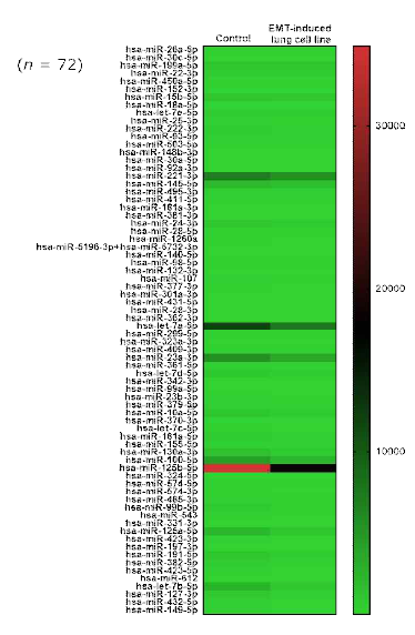 EMT-induced 폐암 세포주에서 특이적으로 감소한 miRNAs