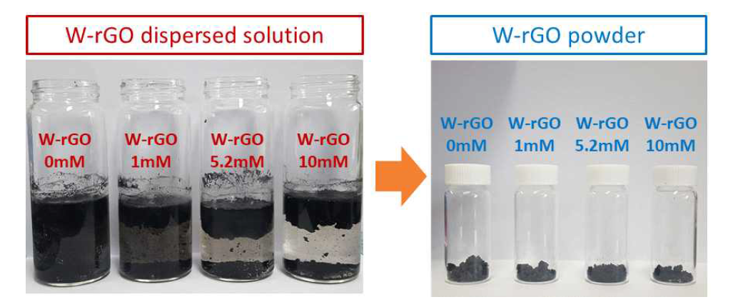 W이온용액의 첨가농도에 따라 합성한 W-rGO 분산액 및 최종 분말샘플들에 대한사진