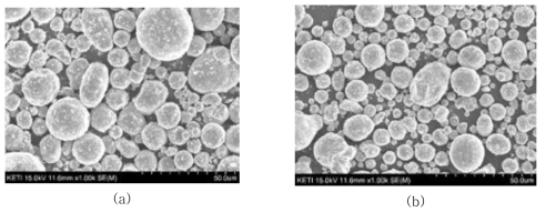 Fe-Ni alloy 분말의 미세구조 사진 (a) D50=35㎛ (b) D50=15㎛