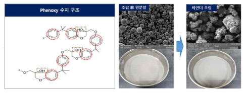 조립제 선정 및 조립 공정 전/후의 분말 형상 관찰