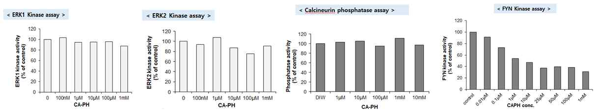 CA-PH처리가 ERK1/2, Calcineurin, Fyn kinase 효소 활성도에 미치는 영향 조사. CA-PH의 농도 의존적으로 Fyn kinase 효소 활성이 저해됨