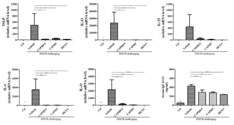 아토피 피부염 유발 후, 피부 싸이토카인의 mRNA 발현을 확인함