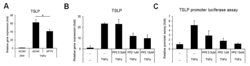 (A) RNA 간섭에 의한 Fyn kinase 녹다운 시 TNFα 처리에 의한 TSLP 발현 증가가 감소됨. (B, C) Fyn kinase의 비특이적 저해제 (PP2) 처리 시 TNFα 처리에 의한 TSLP 발현 증가가 감소됨