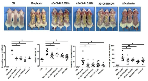 아토피피부염 유발 마우스의 CA-PH 크림 제형의 농도 (0.008%, 0.04%, 0.2%)별 도포 시 피부 내 혈장 내 IgE 농도 및 피부중증도 점수화(SCORAD), spleen length 및 scratching behavior 수(10 min) 측정 결과