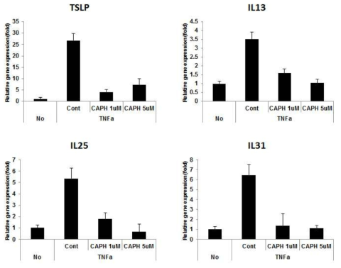 HaCaT keratinocyte에서 TNFα 처리에 의해 증가된 TSLP, IL-13, IL-25, IL-33 mRNA 발현이 CA-PH 처리에 의해 감소됨을 Real time PCR 방법으로 측정함