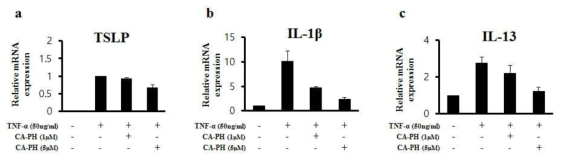 피부 세포에서 TNF-α에 의해 유도된 TSLP, IL-1β, 그리고 IL-13과 같은 아토피 피부염 관련 사이토카인의 발현이 CA-PH에 의해 농도 의존적으로 감소됨