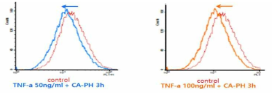 피부 세포에서 TNF-α에 의해 유도된 ROS 생성이 CA-PH에 의해 감소됨