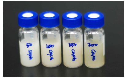 최종 DDW에 dispersion된 CA-PH encapsulation nano particle emulsion