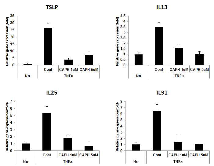 HaCaT keratinocyte에서 TNFα 처리에 의해 증가된 TSLP, IL-13, IL-25, IL-33 mRNA 발현이 CA-PH 처리에 의해 감소됨을 Real time PCR 방법으로 측정함