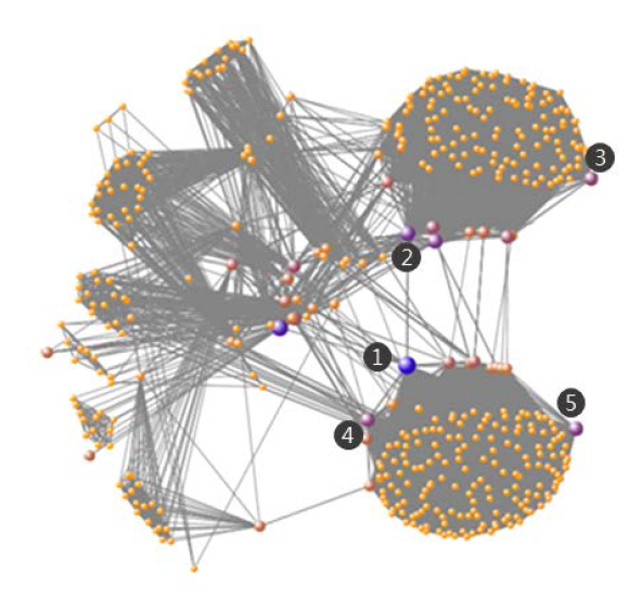 Smart helmet을 키워드로 조사한 Social Network Analysis