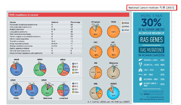 암과 돌연변이 RAS와의 상관관계 및 RAS 돌연변이의 종류