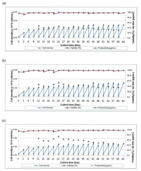 세포주 3종의 계대 안정성 시험 결과