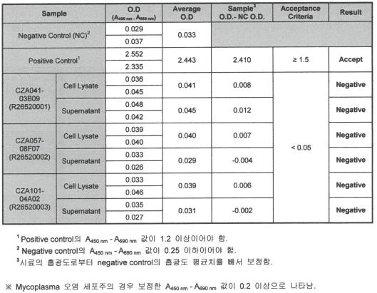 세포주의 mycoplasma 오염 검사