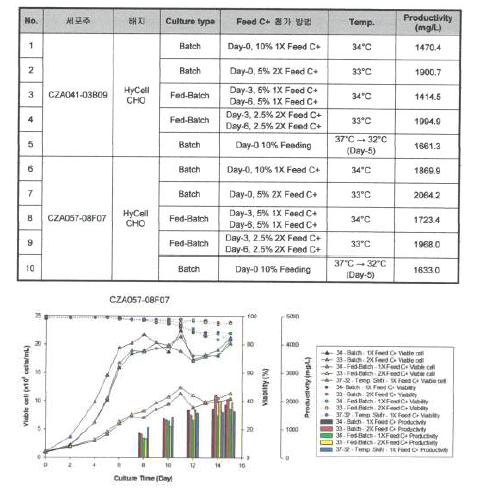 단일 세포주를 이용한 최적조건 검증 및 배양 유형 조건에 따른 결과
