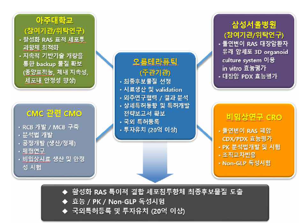 3년간 주관기관과 참여기관의 기술개발 추진 체계