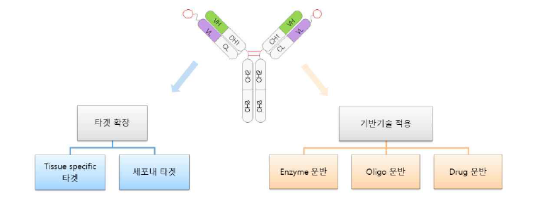 세포 특이적 항체 플랫폼 기반 기술의 다양한 활용