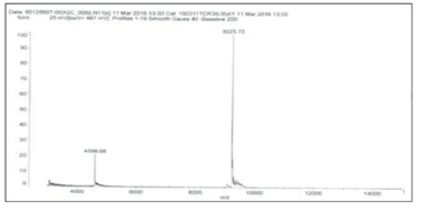 DrugG-Linker-(Nucleolin aptamer) Conjugation MS identification