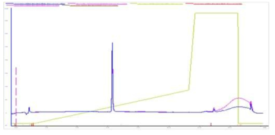 DrugG-Linker-(Control Nucleolin aptamer) Conjugation HPLC data