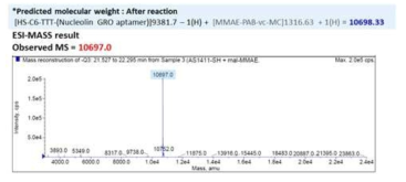 DrugM-Linker-(Nucleolin aptamer) Conjugation MS identification