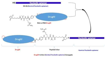 DrugM-Linker-(Nucelolin aptamer) Conjugation