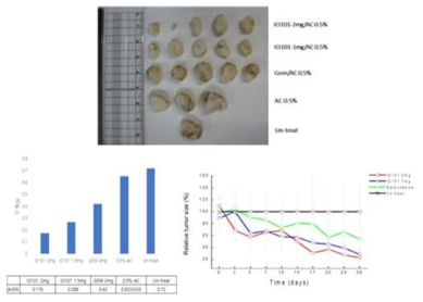 AAC(Sol-Gel Type, 0.5mg, 1mg, 1.5mg, 2mg)을 주사한 후 30일 후에 종양을 적출하여 크기 비교