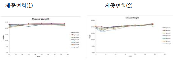 체중변화