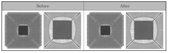 X-ray Inspection