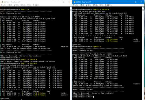 Iperf(throughput) 테스트