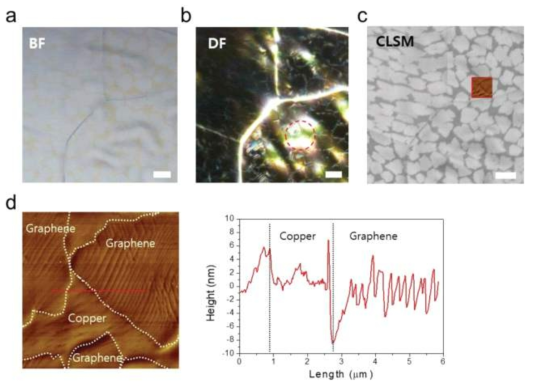 부분적으로 합성된 그래핀의 Bright feld, Dark field, CLSM 이미지 비교