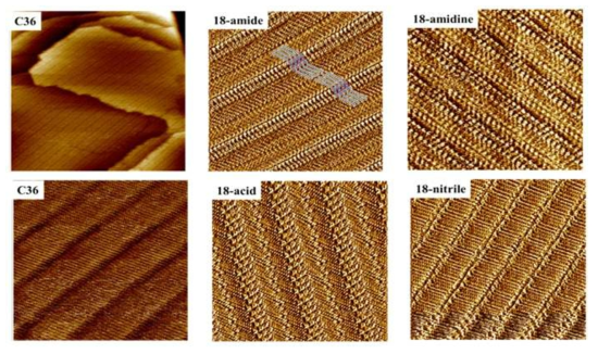 유기물의 그래핀표면위의 자기조립구조를 보여주는 STM 이미지