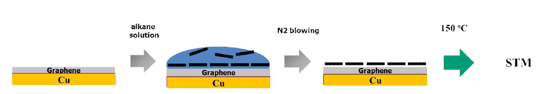 그래핀위의 HTC 자기조립체 열안정성 평가 모식도