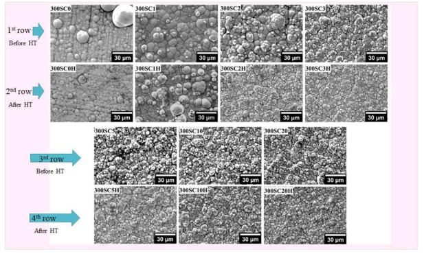 도금 조건(1열 및 3열)과 열처리 (2열 및 4열)에서 다양한 SiC 함량을 갖는 시료의 표면 형상 SEM 이미지