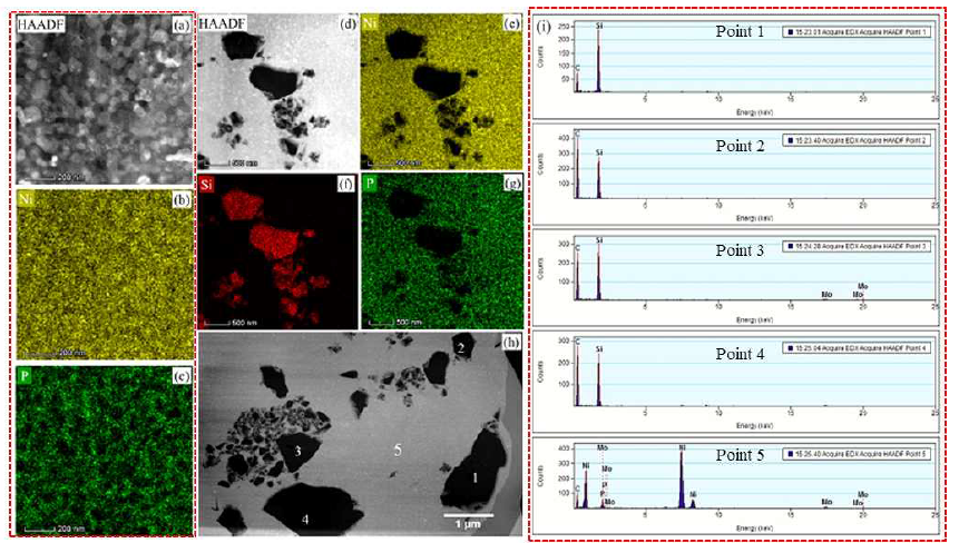 열처리 된 Ni-P-SiC 코팅의 Ni-P 매트릭스 미세 구조에서 Ni와 P(a-c)의 STEM-EDS 매핑은 SiC 입자가 분포 된 미세 구조에서 Ni, Si 및 P의 맵핑을 나타내며, (i)에서 보여지는 것은 (h)의 다른 지점에서 취해진 데이터