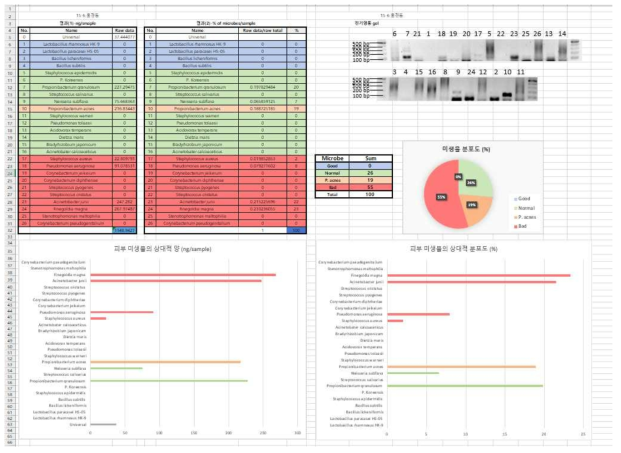 피부 상재 미생물 분석 결과 리포트
