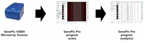 프로토타입 DNA 칩 분석 과정