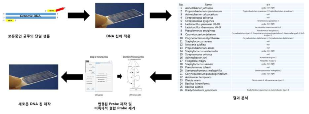 분석 정밀도가 향상된 프로토타입 DNA 칩 개발 과정