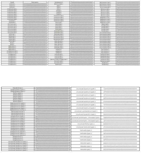 한국형 피부 상재균 분석을 위한 한국형 DNA 칩 제작용 DNA Probe 염기 서열 정보