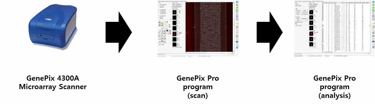 프로토타입 DNA 칩 분석 과정