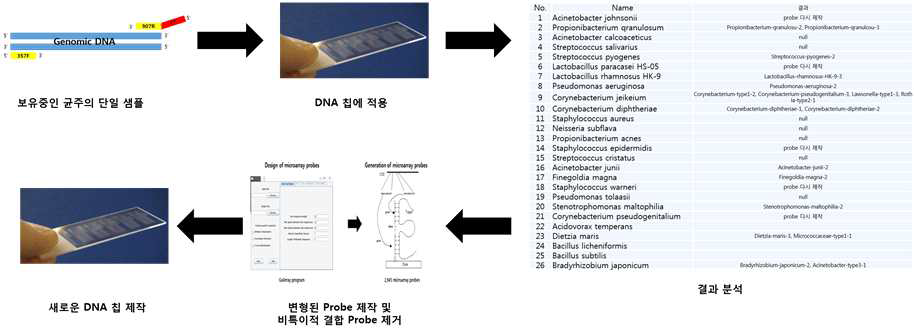 분석 정밀도가 향상된 프로토타입 DNA 칩 개발 과정