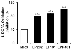 Inhibitory effects of the three supernatants (LP202, LF101, LPP401) on tyrosinase activity. MRS broth (MRS) is the liquid medium used for the bacterial growth. Purified mushroom tyrosinase was used, and L-DOPA was used as a substrate. The data represent the percentage of L-DOPA oxidation inhibition. For the more reasonable comparison, the experimental values were normalized to those obtained with the Lactobacillus cells grown up to an absorbance of 8.0 at OD600.***,p < 0.001 vs MRS