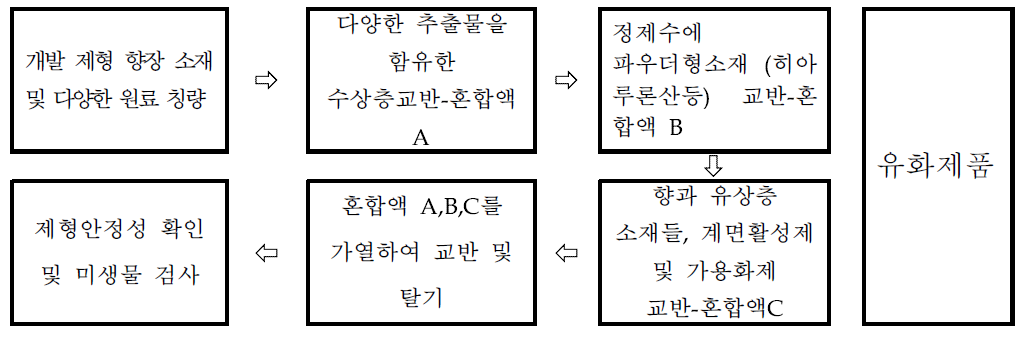 제형 개발 모식도