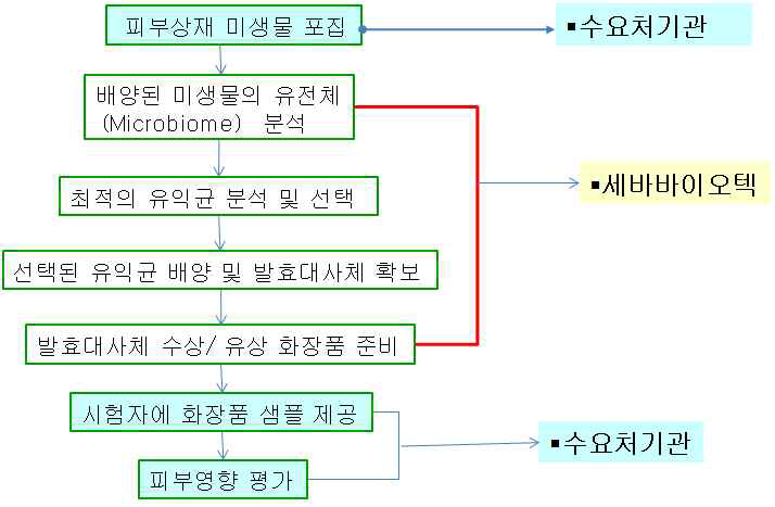 수요처 기업 시행 개인 맞춤형 화장품 모델 개발 및 적합성 조사 모식도